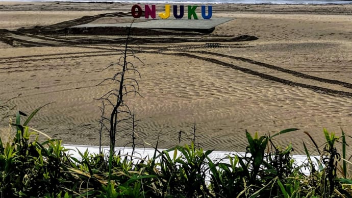 平日surfing#24 サイドオフSET腰➜助六