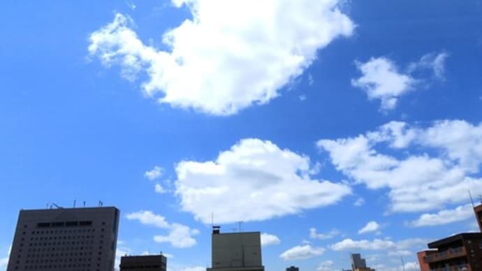 散歩&中華まんじゅう