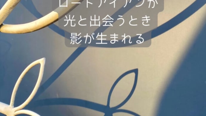 偶然に見つけた、影の美しさ