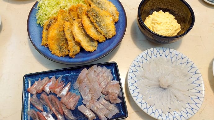 【食】アジフライ・アジ、コモンフグ、イシモチの刺身・ムシガレイの煮付け