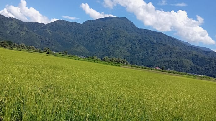 フジロックも始まり新潟県も大変です。