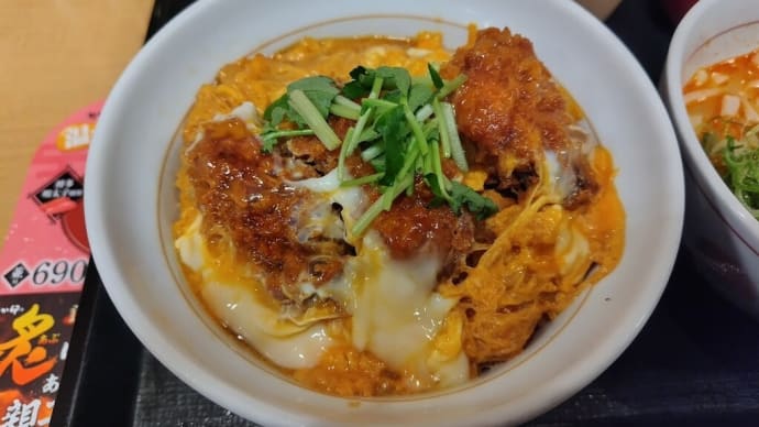 なか卯(101)かつ丼・坦々うどん
