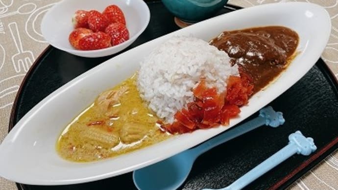 成城石井のグリーンカレーと昭ちゃんコロッケ