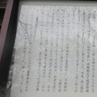 続・桜の珊瑚寺２０２５