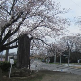 桜の地蔵尊会館