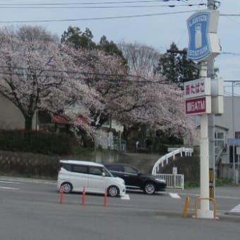 桜の地蔵尊会館