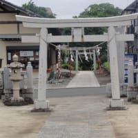 境内にはあまり木が無く、周辺には高い建物も無いので視界一杯に広がります。