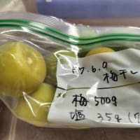 うめ仕事