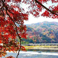 京都の紅葉名所　嵐山