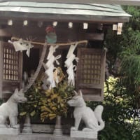 木造の切妻茅葺（きりつまかやぶき）の和様四足門の妙好寺山門にやって来ました。