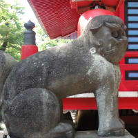 井の頭公園でカップルでボートに乗ると分かれると言う伝説が有ります。