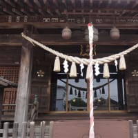 境内にはあまり木が無く、周辺には高い建物も無いので視界一杯に広がります。