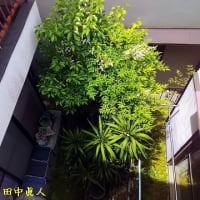花後の伐採は翌年のために