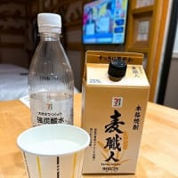 別府・湯布院旅行７（2025）