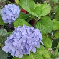 涙が出そう