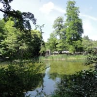井の頭公園でカップルでボートに乗ると分かれると言う伝説が有ります。