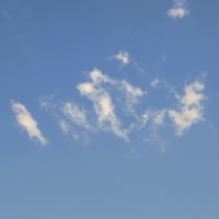 みぃ～太の絵♪