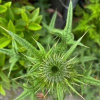 ああ、疲れたぁ。