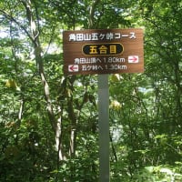 角田山（五ヶ峠コース）2025初夏