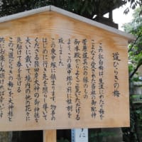 この半年の間に積もったケガレを落とし節目のお参りを！6月30日の夏越の大祓の用意！