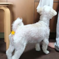年をとって変わった事。の事。