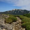 黒部五郎岳を登る