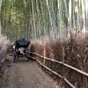 常寂光寺と落柿舎