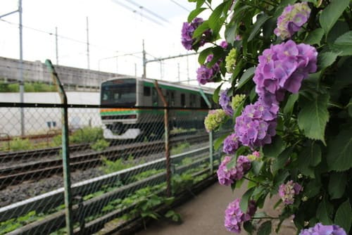 1-IMG_185308649